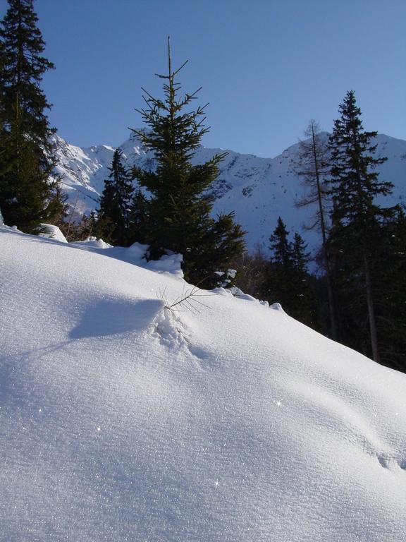 Gaestehaus Walch Fendels Dış mekan fotoğraf
